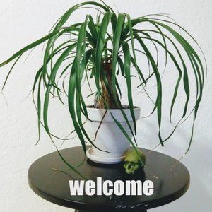 Meet your Posher, @greentagsthrift!